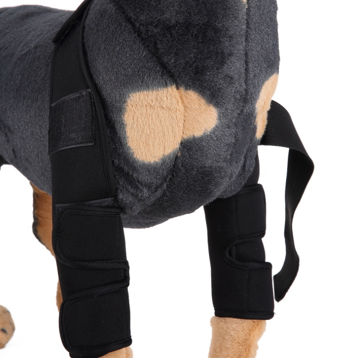 Dog Leg Support Sleeve – a close-up of a dog wearing a black protective leg bootie and harness-style leg guard
