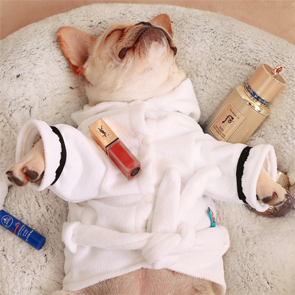 White Hooded Dog Bathrobe – dog in a robe with cosmetic products on a fluffy surface