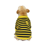 Striped Dog Pullover – dog wearing a yellow and black striped shirt on a white background