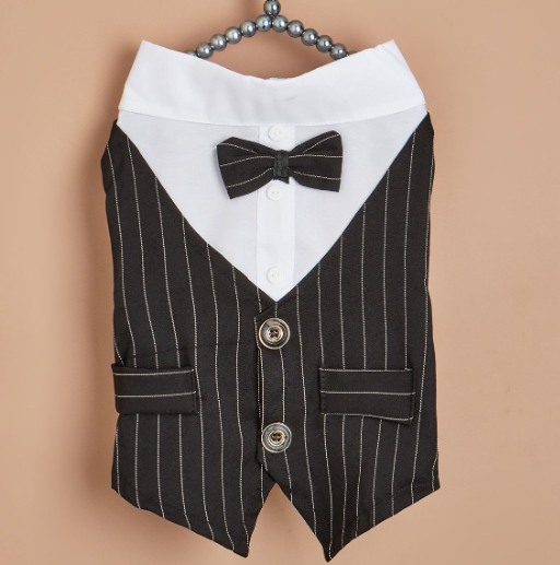 Everyday Dog Shirt – black pinstripe dog vest with white shirt and bow tie on a beige background