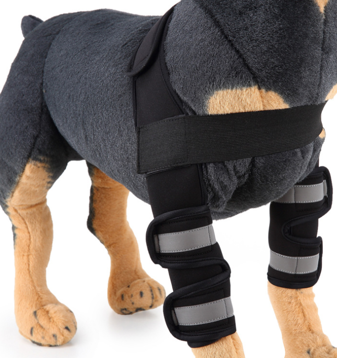 Dog Leg Support Sleeve – dog wearing a protective cast on its leg with a white background