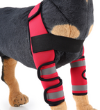 Dog Leg Support Sleeve – dog wearing a red protective leg wrap with reflective stripes on a white background