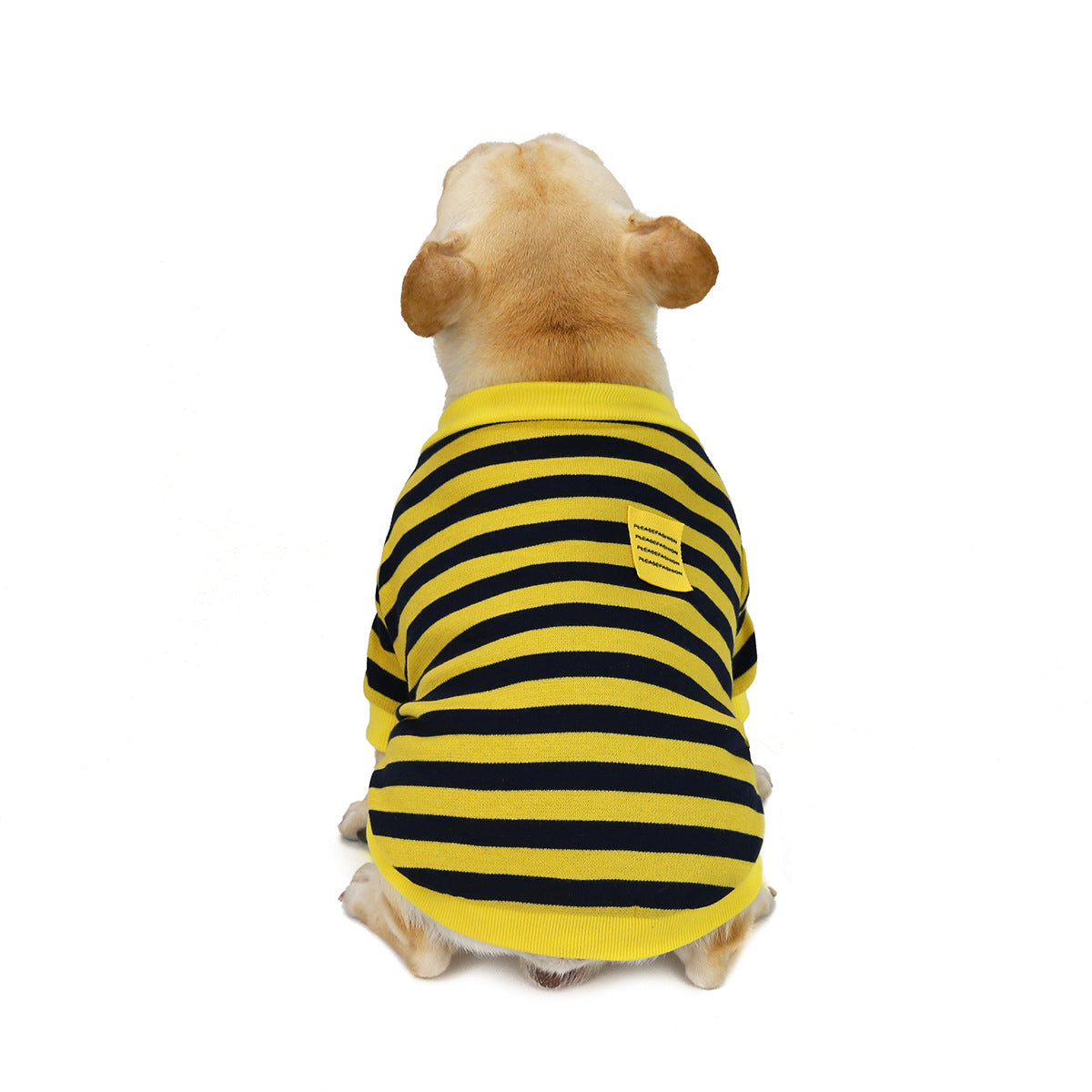 Striped Dog Pullover – dog wearing a yellow and black striped shirt on a white background