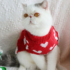 Festive Red Dog Sweater Dress – red sweater with white hearts on a textured white background