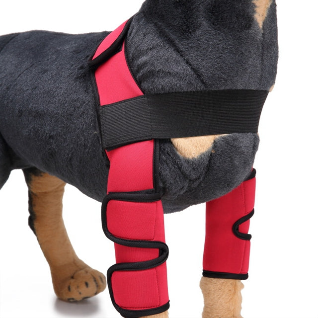 Dog Leg Support Sleeve – dog wearing red protective leg wraps on a white background