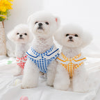 Gingham Ruffle Pet Shirt – three small white dogs wearing colorful outfits on a light background