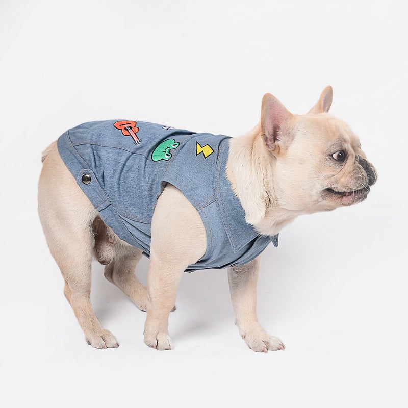 Embroidered Denim Dog Vest – dog wearing a denim outfit with colorful patches on a white background