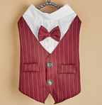 Everyday Dog Shirt – red pinstripe vest with a white shirt and red bow tie on a beige background