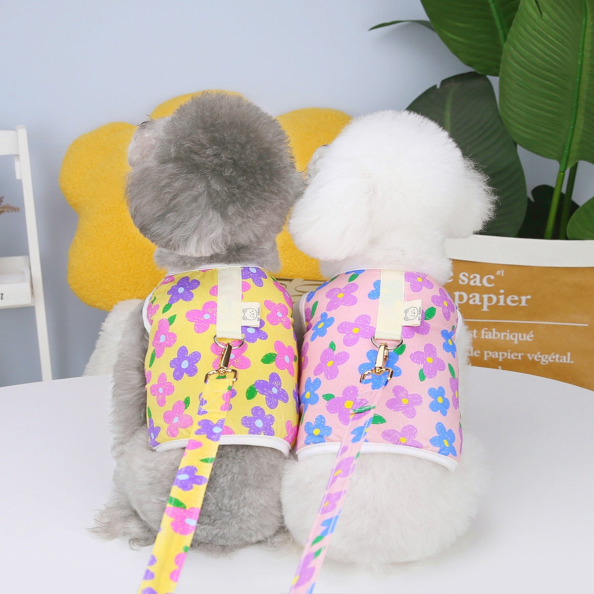 Floral Dog Harness & Leash – two small dogs wearing colorful floral harnesses on a white surface