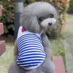 Striped Small Dog Shirt – small dog wearing a blue and white striped shirt outdoors