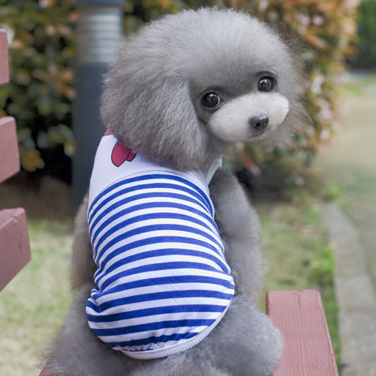 Striped Small Dog Shirt – small dog wearing a blue and white striped shirt outdoors