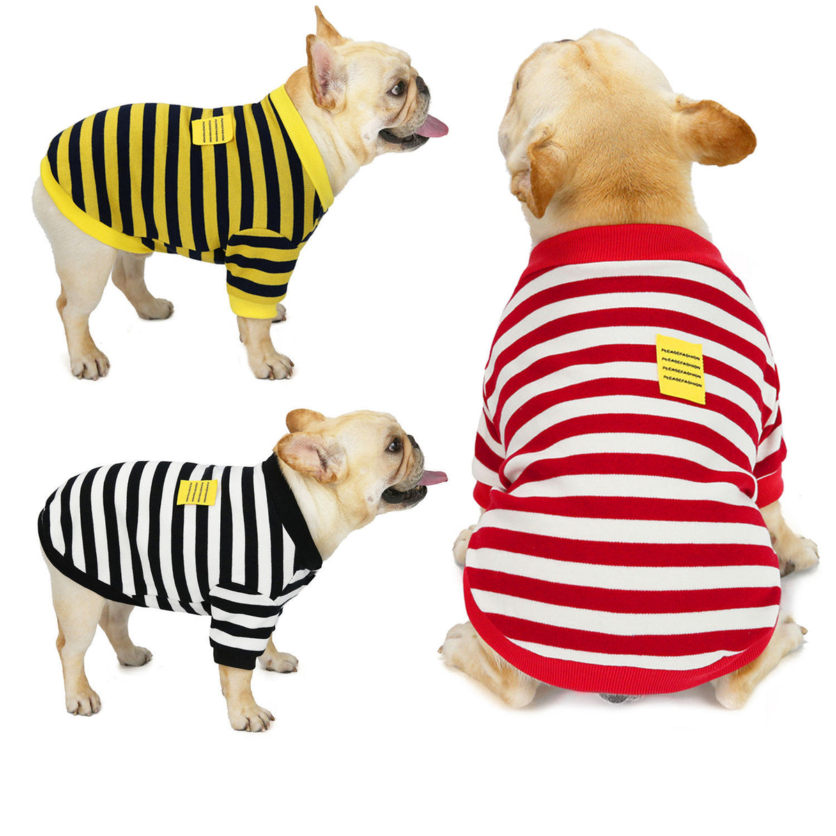 Striped Dog Pullover – three dogs wearing striped outfits on a white background