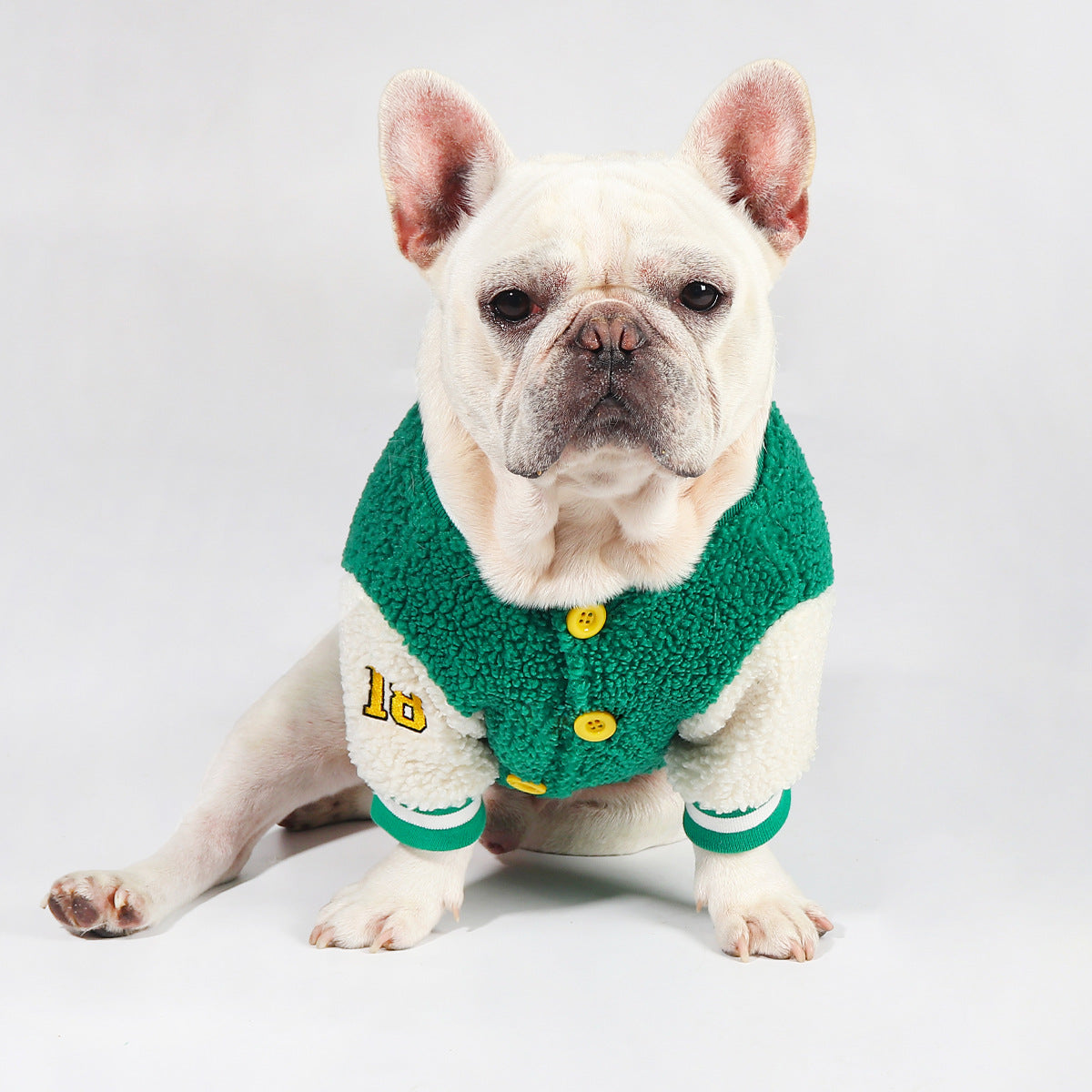 Fleece-Lined Dog Baseball Jacket – dog wearing a green baseball jacket with yellow buttons on a white background