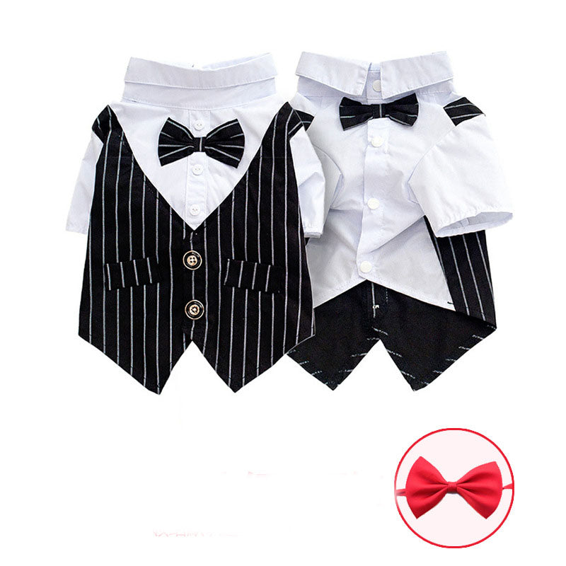 Everyday Dog Shirt – dog tuxedo with black pinstripe vest and white shirt, featuring a red bow tie on a white background