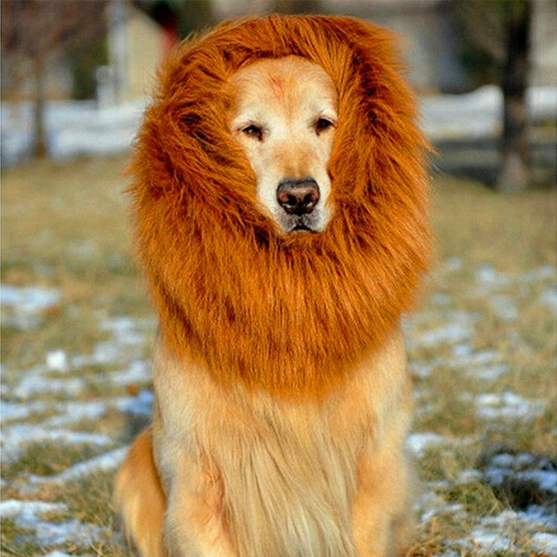 Lion Mane Dog Costume – dog wearing a lion mane costume outdoors on a grassy area with snow