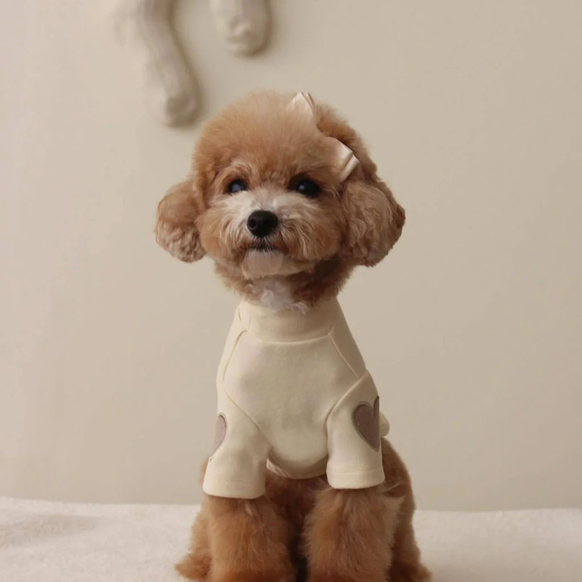 Small dog wearing a beige sweater with heart-shaped sleeve details