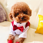 Everyday Dog Shirt – small dog wearing a red bow tie and white shirt on a beige couch