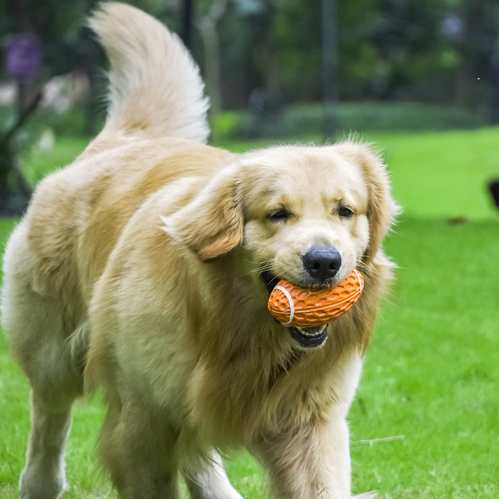 ChewPal Squeaky Rugby Dog Toy