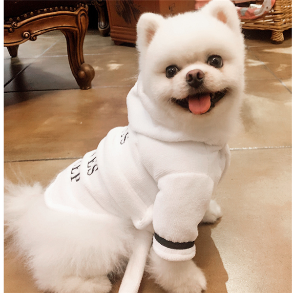 White Hooded Dog Bathrobe – small white dog wearing the white bathrobe with black paw prints on a wooden floor