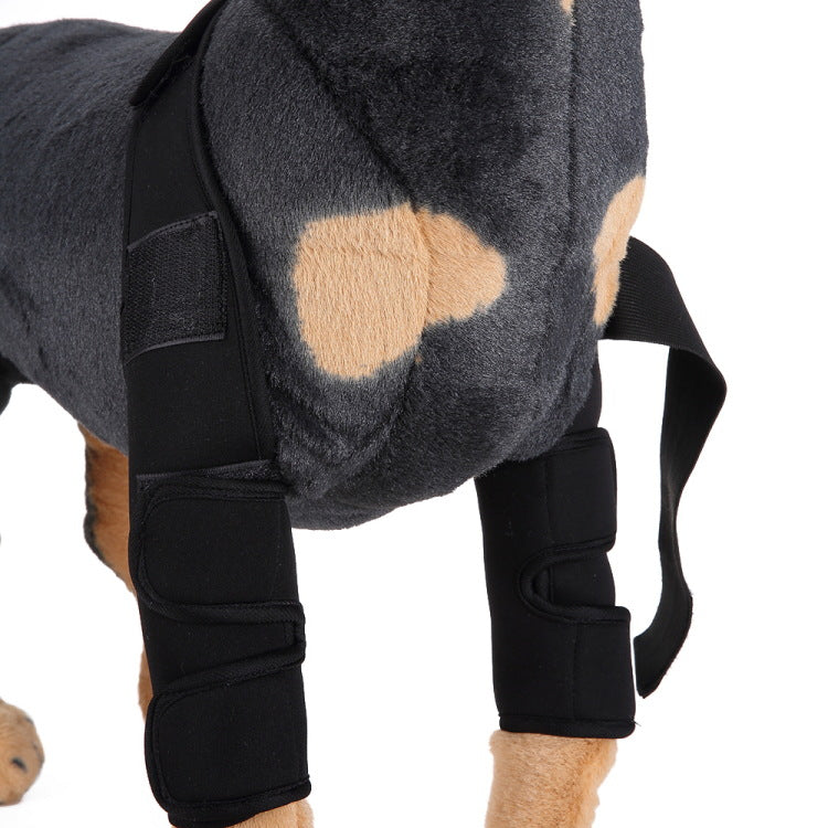 Dog Leg Support Sleeve – dog wearing a black protective sleeve on one leg with a gray coat and beige patches