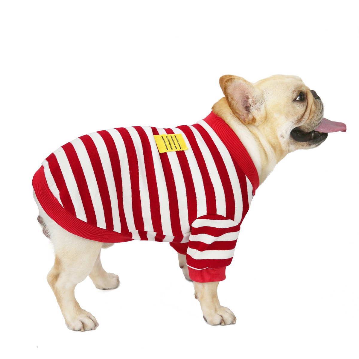 Striped Dog Pullover – dog wearing a red and white striped outfit on a white background