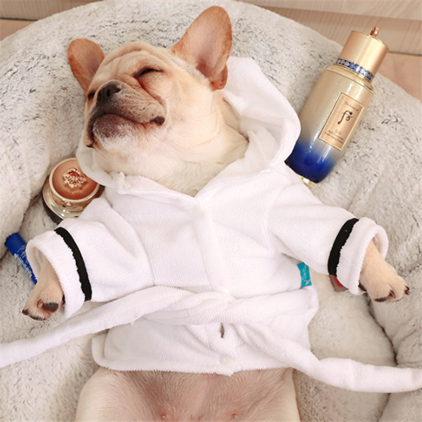White Hooded Dog Bathrobe – dog in a white robe lying on a fluffy surface with skincare products around