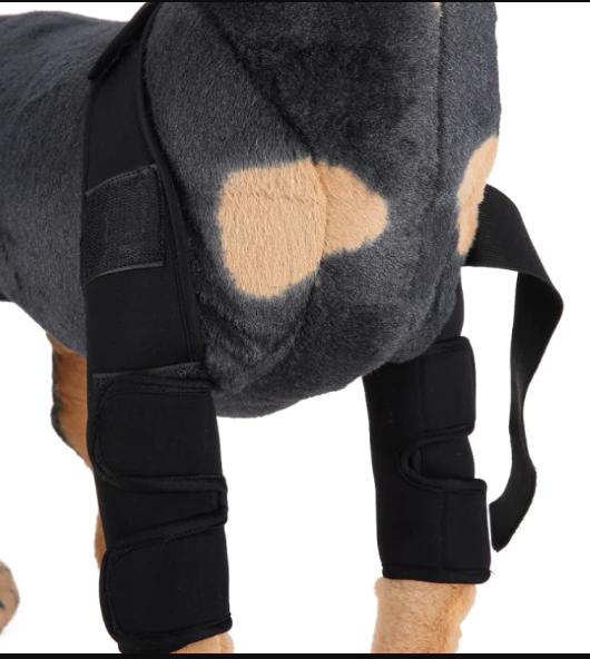 Dog Leg Support Sleeve – dog wearing a protective leg wrap on a white background