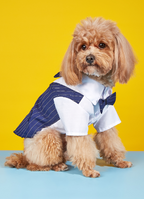 Everyday Dog Shirt – dog wearing a blue pinstripe suit with a white shirt and bow tie on a yellow and blue background