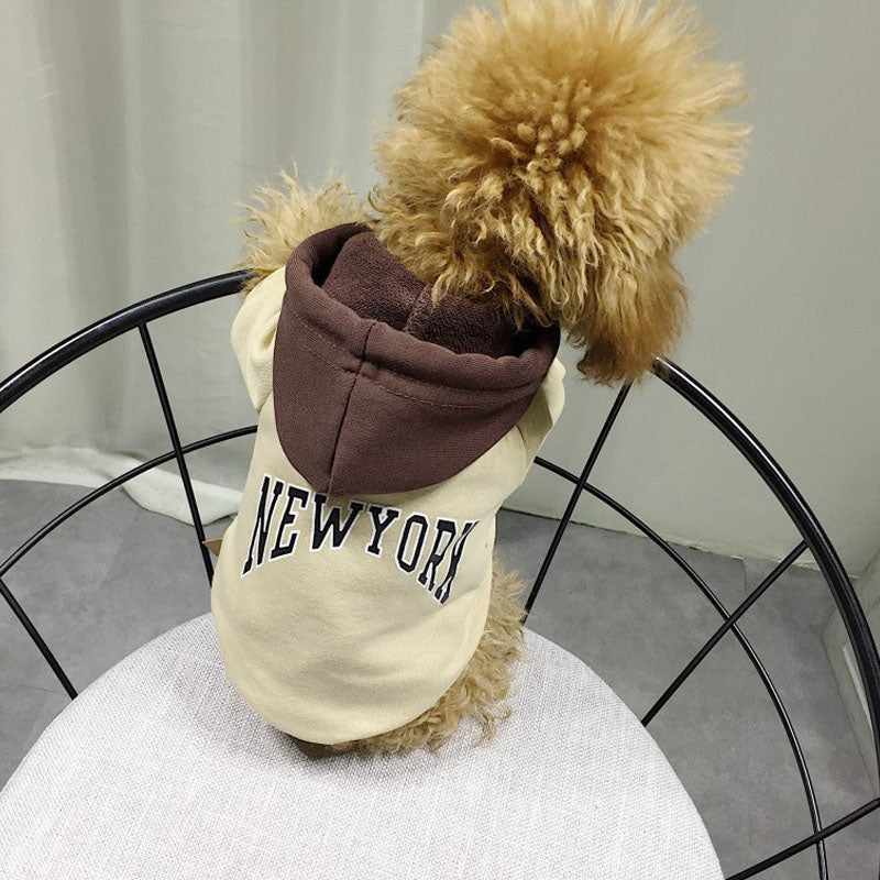 Cotton Dog Hoodie – dog wearing a 'New York' hoodie with a large pom-pom on a chair