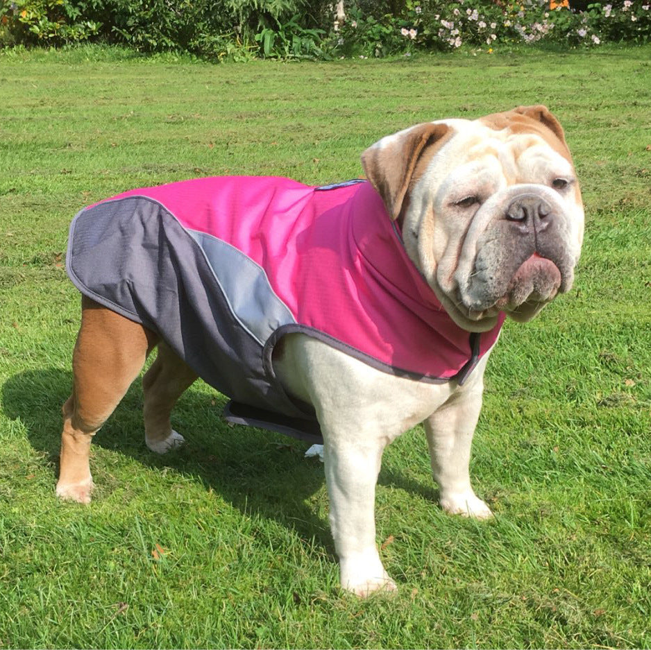 Insulated Dog Rain Jacket – bulldog wearing a pink and gray coat on a grassy field