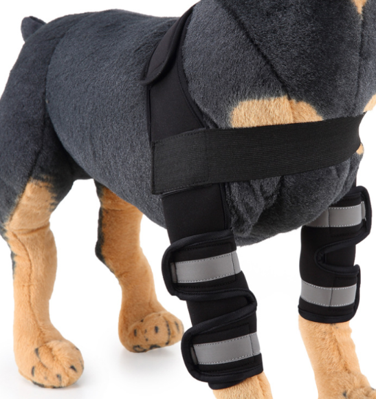 Dog Leg Support Sleeve – dog wearing a protective cast on its leg with a white background